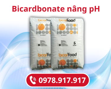Bicardbonate nâng pH 