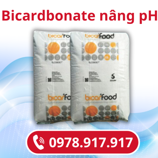 Vật liệu lọc nước